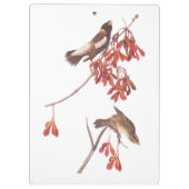 オードボンのコメの束ねた鳥やボリンクの鳥 クリップボード (裏面)