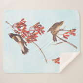 オードボンのコメの束ねた鳥やボリンクの鳥 シェルパブランケット (正面(横))