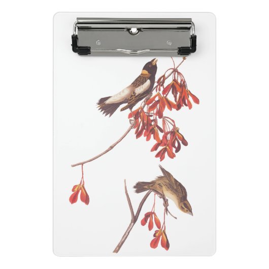 オードボンのコメの束ねた鳥やボリンクの鳥 ミニクリップボード (正面)