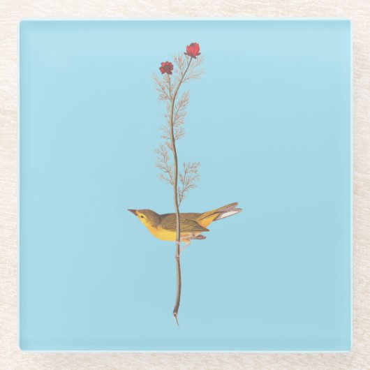 オードボンのフードを被ったアカワドリ ガラスコースター (正面)