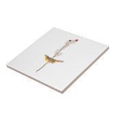 オードボンのフードを被ったアカワドリ タイル (側面)