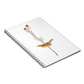 オードボンのフードを被ったアカワドリ ノートブック (右側)