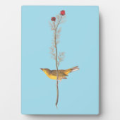 オードボンのフードを被ったアカワドリ フォトプラーク (正面)