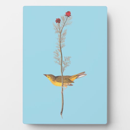 オードボンのフードを被ったアカワドリ フォトプラーク (正面)