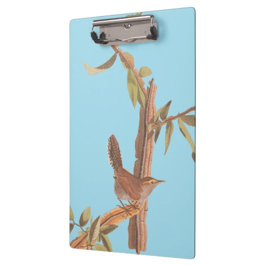オードボンのベウィックのロングテール和連歌の鳥 クリップボード (左)