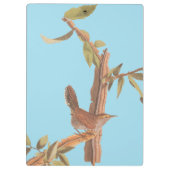 オードボンのベウィックのロングテール和連歌の鳥 クリップボード (裏面)