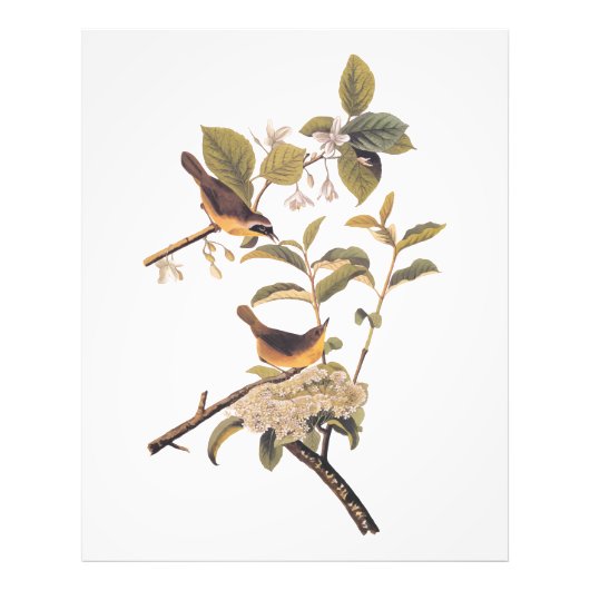 オードボンのメリーランド州の花鳥類 フォトプリント            (正面)