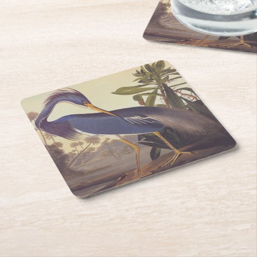 オードボンのルイジアナ・ヘロンまたは三色ヘロン スクエアペーパーコースター (アングル)