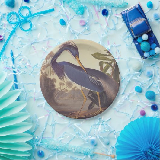 オードボンのルイジアナ・ヘロンまたは三色ヘロン ペーパープレート (パーティー)