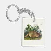 オードボンの九縞模様の長い鼻を持つアルマジロ キーホルダー (正面左)