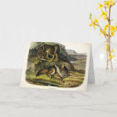 オードボンの四肢動物の大草原ウルフ（コヨーテ） カード (黄色い花)