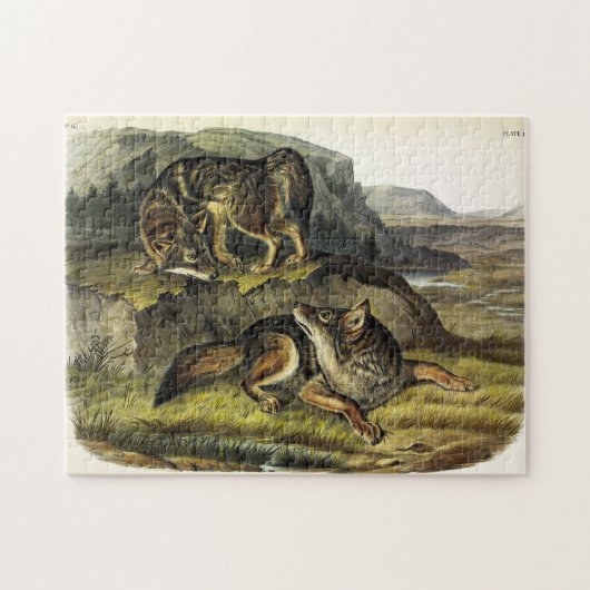 オードボンの四肢動物の大草原ウルフ（コヨーテ） ジグソーパズル (横)