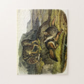 オードボンの四肢動物の大草原ウルフ（コヨーテ） ジグソーパズル (縦)