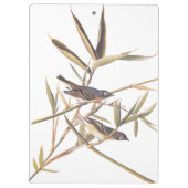 オードボンの孤独なヴィレオのキャッチャーの鳥の杖 クリップボード (裏面)