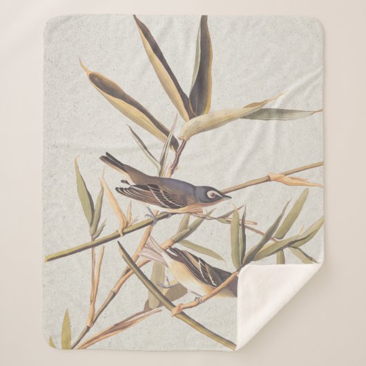 オードボンの孤独なヴィレオのキャッチャーの鳥の杖 シェルパブランケット (正面)