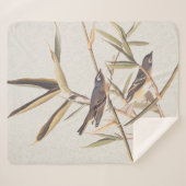 オードボンの孤独なヴィレオのキャッチャーの鳥の杖 シェルパブランケット (正面(横))