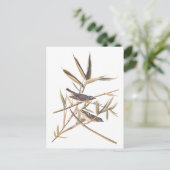 オードボンの孤独なヴィレオのキャッチャーの鳥の杖 ポストカード (スタンド正面)