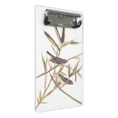 オードボンの孤独なヴィレオのキャッチャーの鳥の杖 ミニクリップボード (アングル)