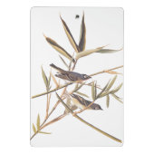 オードボンの孤独なヴィレオのキャッチャーの鳥の杖 ミニクリップボード (裏面)