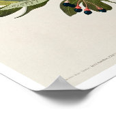 オードボンの小さな緑の鳥冠フライ捕手 ポスター (角)