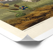 オードボンの尾根の鋭いグロース ポスター (角)