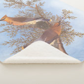 オードボンの杉並木が常緑樹に咲く鳥 シェルパブランケット (3/4)