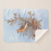 オードボンの杉並木が常緑樹に咲く鳥 シェルパブランケット (正面(横))