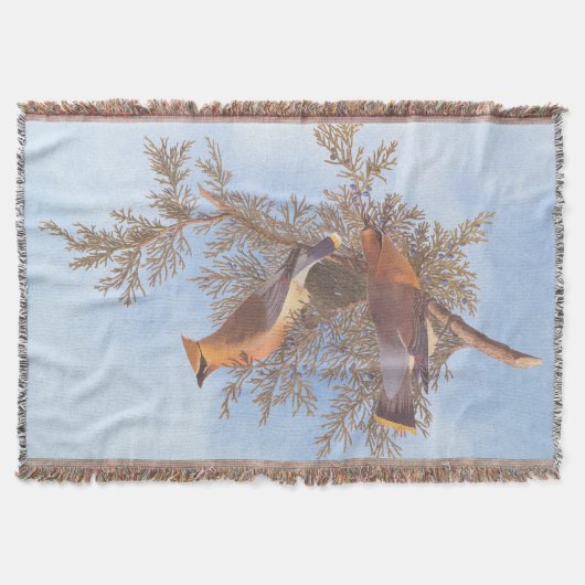 オードボンの杉並木が常緑樹に咲く鳥 スローブランケット (正面)