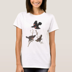 オードボンの紅翼のブラックバード Tシャツ