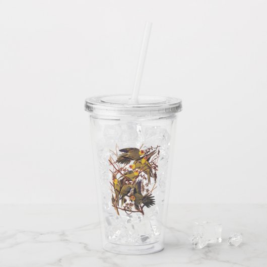 オードボンの絶滅したカロライナのインラヴィンテージアート アクリルタンブラー (アイス裏面)