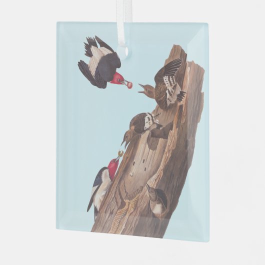 オードボンの赤毛のアカゲラ科 ガラスオーナメント (正面左)