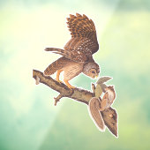 オードボンの鉄輪フクロウとリスの奇妙な友達 ウィンドウサイン (シート3)