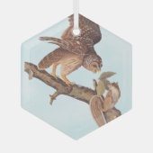 オードボンの鉄輪フクロウとリスの奇妙な友達 ガラスオーナメント (正面)