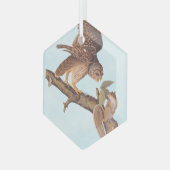 オードボンの鉄輪フクロウとリスの奇妙な友達 ガラスオーナメント (正面左)