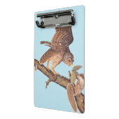 オードボンの鉄輪フクロウとリスの奇妙な友達 ミニクリップボード (アングル2)