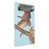 オードボンの鉄輪フクロウとリスの奇妙な友達 ミニクリップボード (アングル)