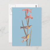 オードボンの青いイエローバックウォーブラーズ ポストカード (正面/裏面)