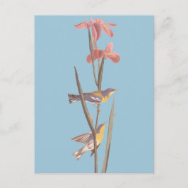 オードボンの青いイエローバックウォーブラーズ ポストカード