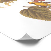 オードボンの青い翼を持つ黄色のウグイスの鳴き鳥 ポスター (角)