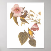 オードボンの青い翼を持つ黄色のウグイスの鳴き鳥 ポスター (正面)