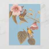 オードボンの青い翼を持つ黄色のウグイスの鳴き鳥 ポストカード (正面)