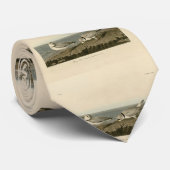 オードボンの鳥たちアメリカのパイピング・クローバー ネクタイ (ロール)