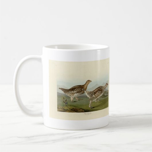 オードボンの鳥たち – アメリカの鳥類 コーヒーマグカップ (左)