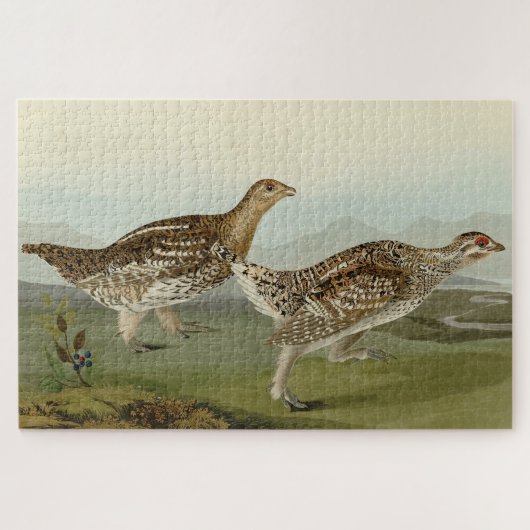 オードボンの鳥たち – アメリカの鳥類 ジグソーパズル (横)