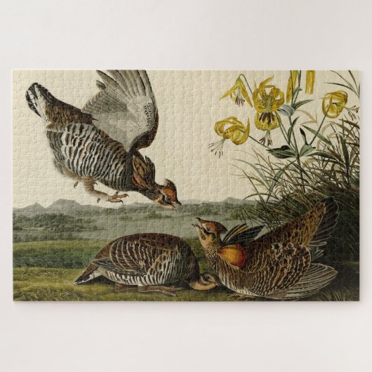 オードボンの鳥たち ジグソーパズル (横)