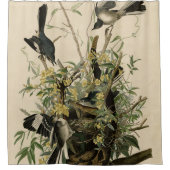 オードボンの鳥たち、北モックの鳥 シャワーカーテン (正面)