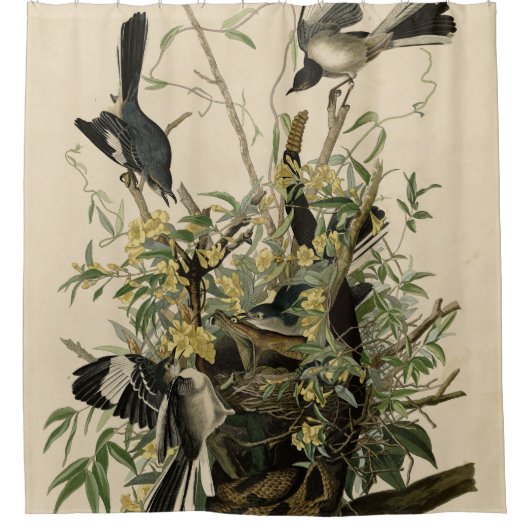 オードボンの鳥たち、北モックの鳥 シャワーカーテン (正面)