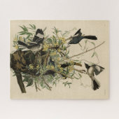 オードボンの鳥たち、北モックの鳥 ジグソーパズル (横)