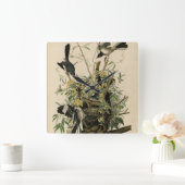 オードボンの鳥たち、北モックの鳥 スクエア壁時計 (ホーム)