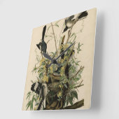 オードボンの鳥たち、北モックの鳥 スクエア壁時計 (傾斜)